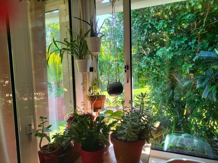 Villa Casa Triana Soure Esterno foto
